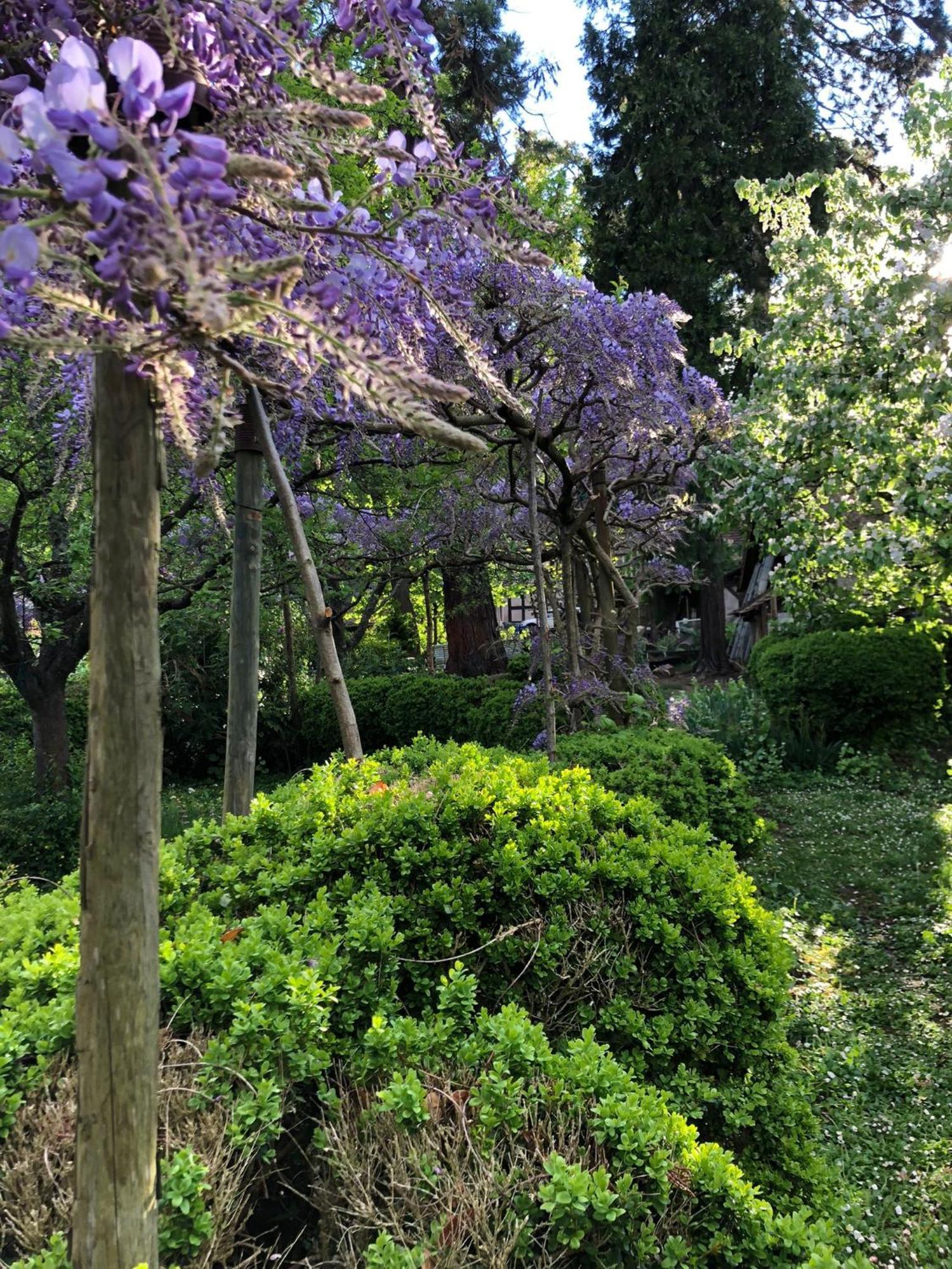 Le Temps Des Cigognes Villa Barr Bagian luar foto