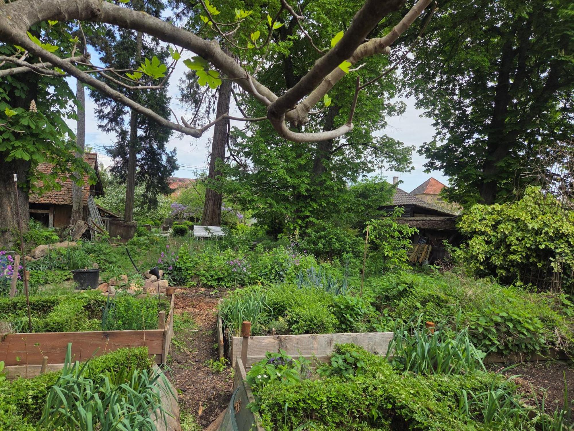 Le Temps Des Cigognes Villa Barr Bagian luar foto