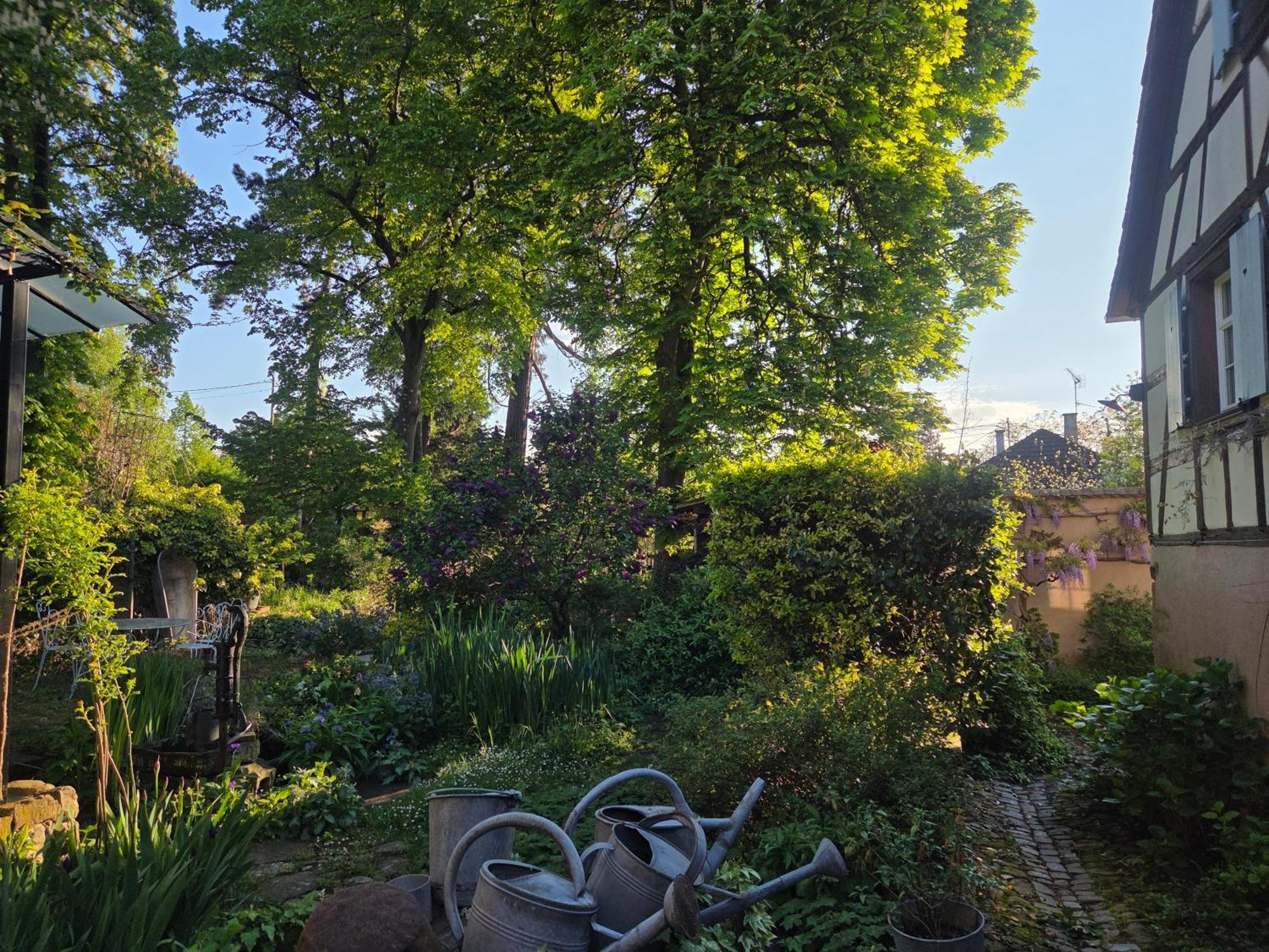 Le Temps Des Cigognes Villa Barr Bagian luar foto