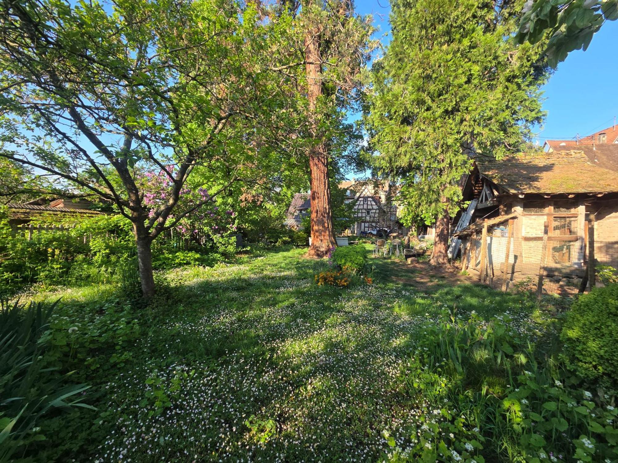 Le Temps Des Cigognes Villa Barr Bagian luar foto