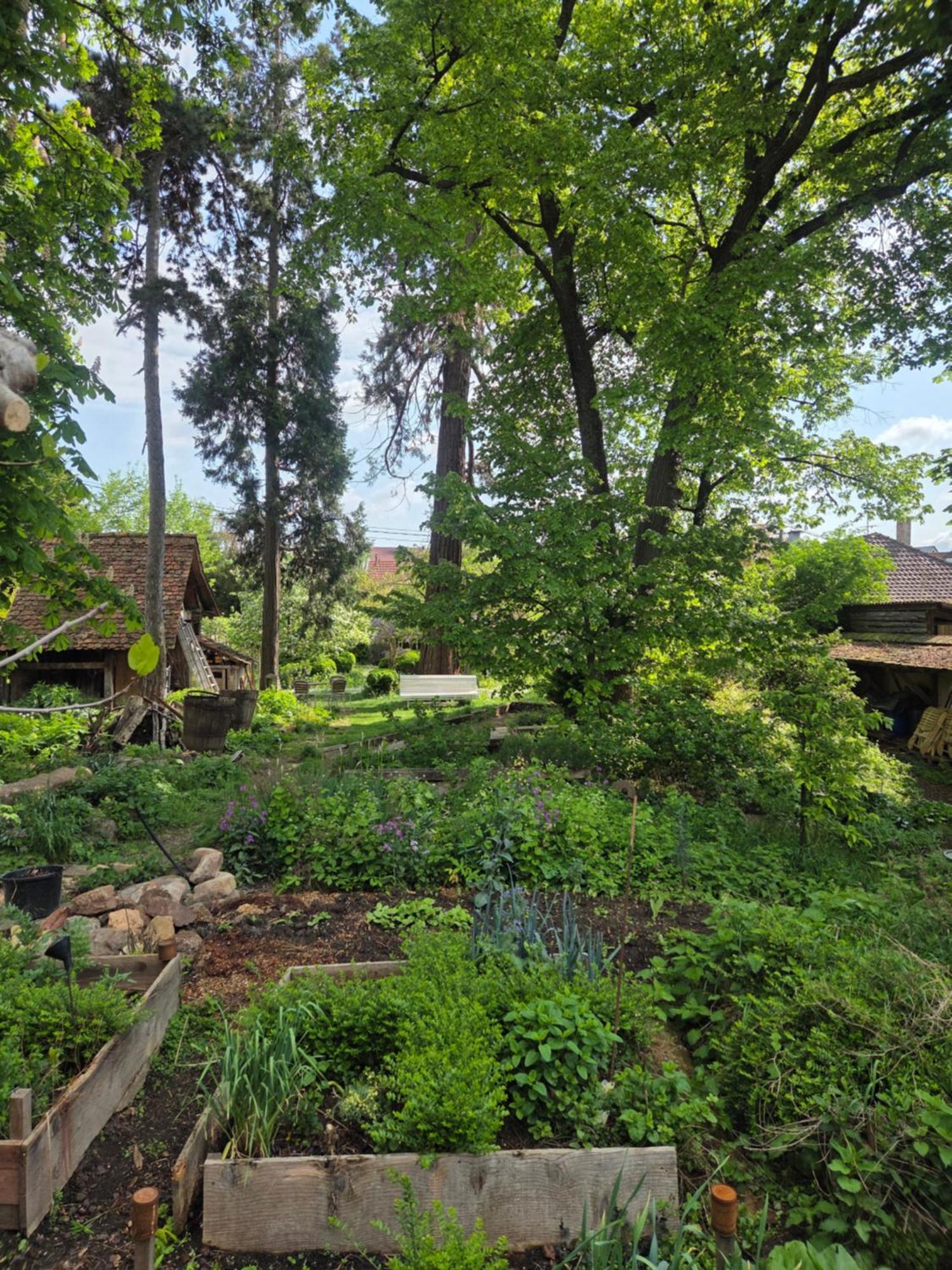 Le Temps Des Cigognes Villa Barr Bagian luar foto