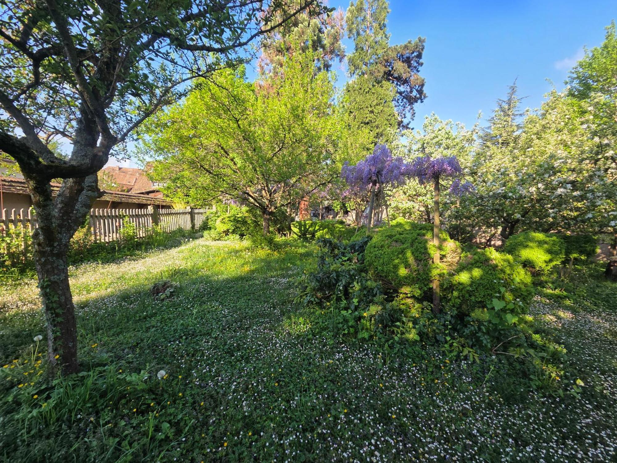 Le Temps Des Cigognes Villa Barr Bagian luar foto