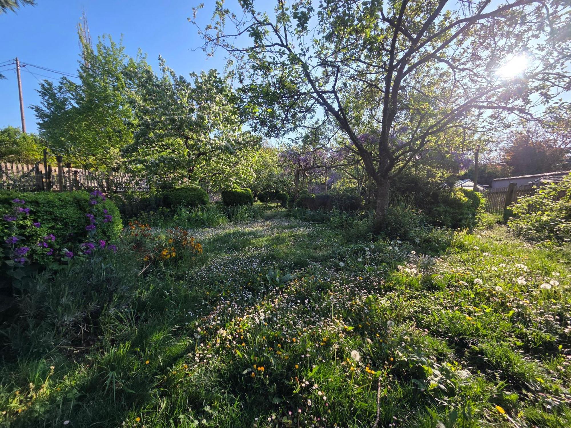 Le Temps Des Cigognes Villa Barr Bagian luar foto