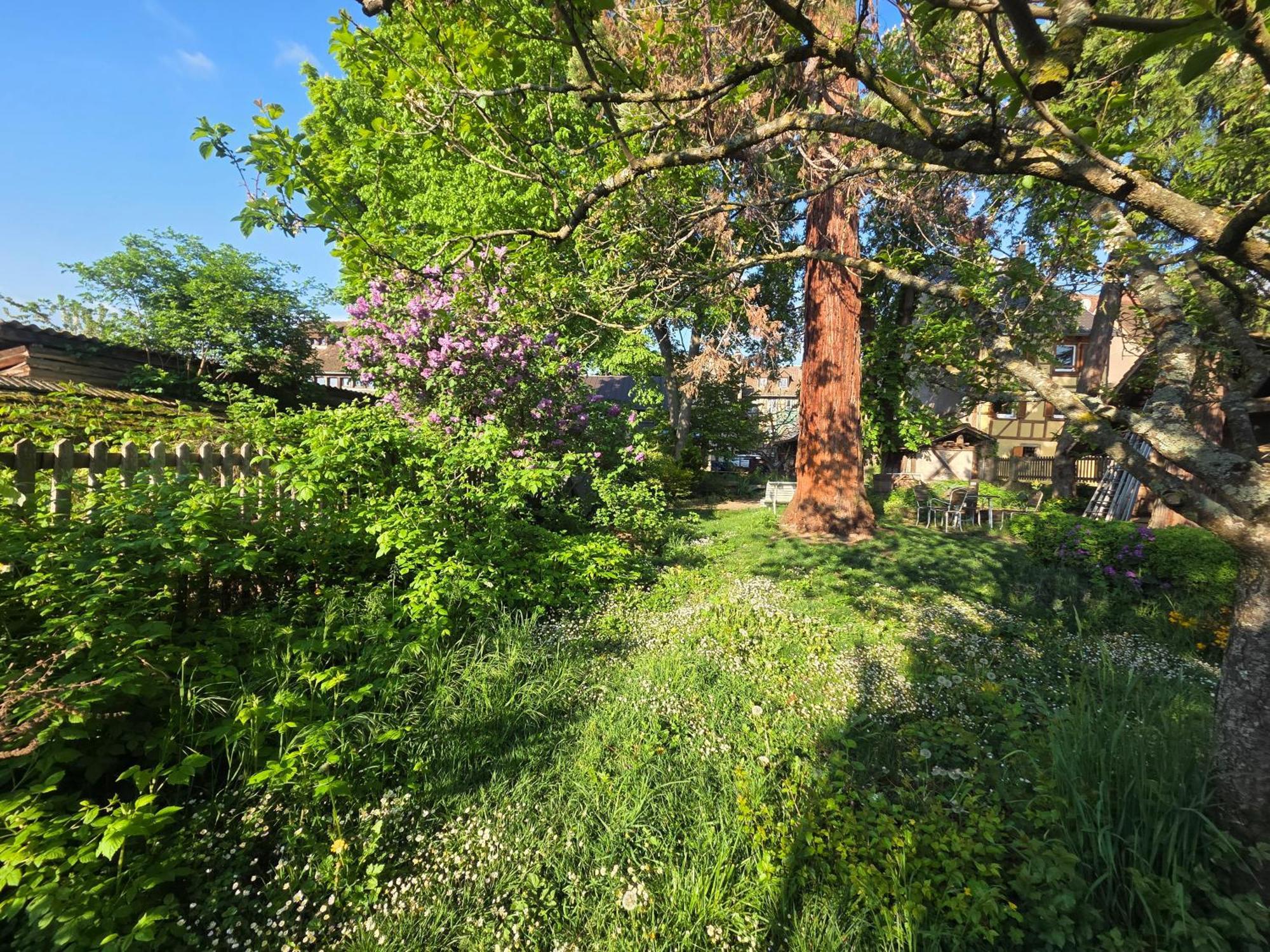 Le Temps Des Cigognes Villa Barr Bagian luar foto