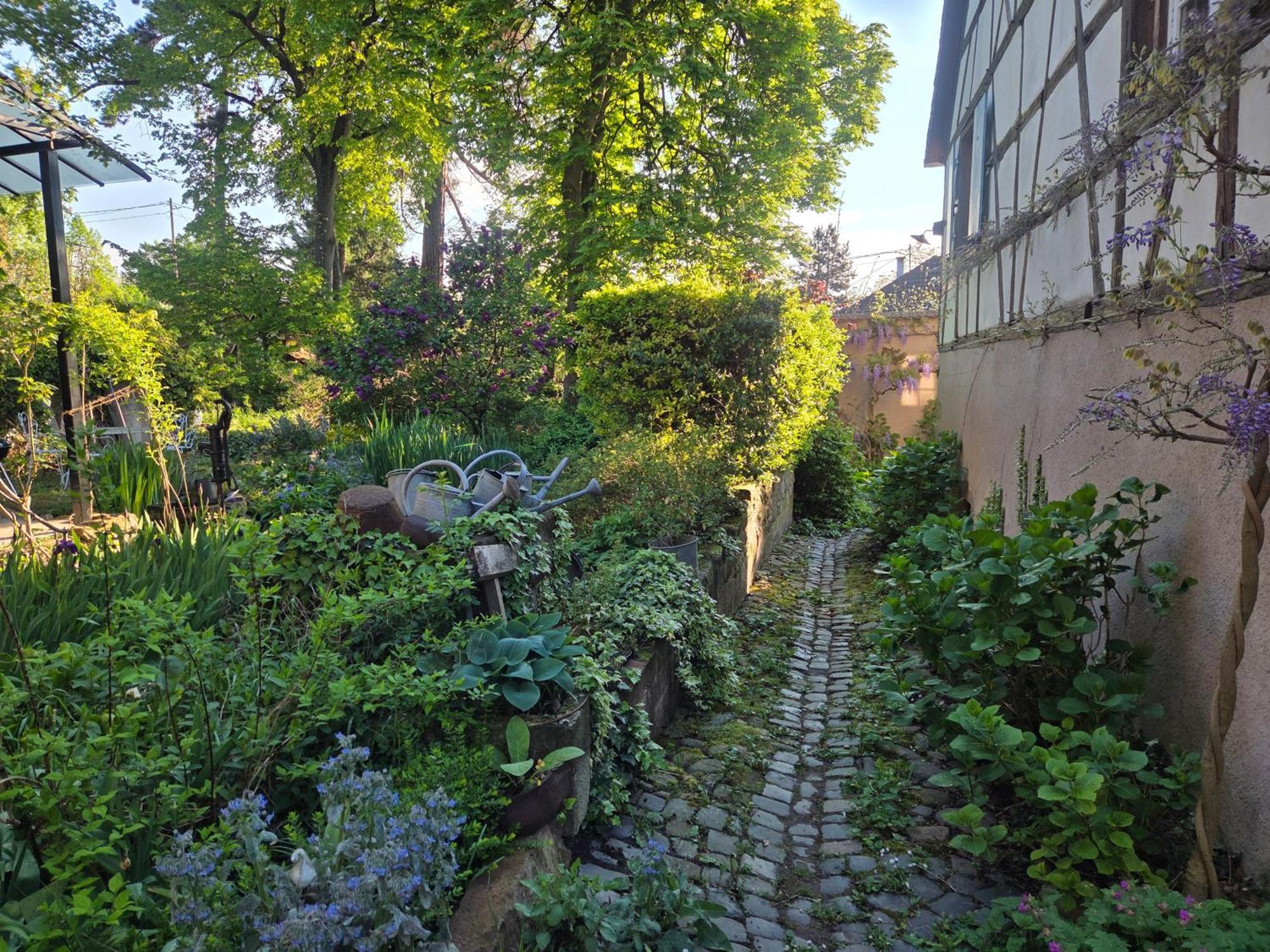 Le Temps Des Cigognes Villa Barr Bagian luar foto