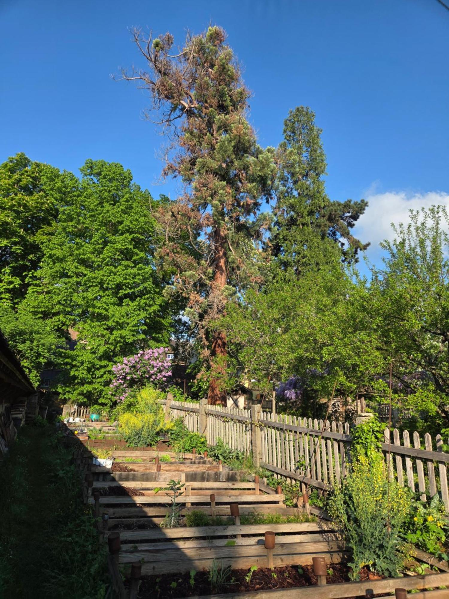 Le Temps Des Cigognes Villa Barr Bagian luar foto