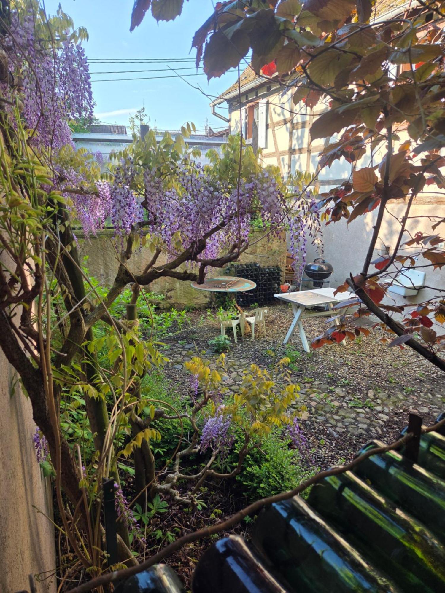 Le Temps Des Cigognes Villa Barr Bagian luar foto