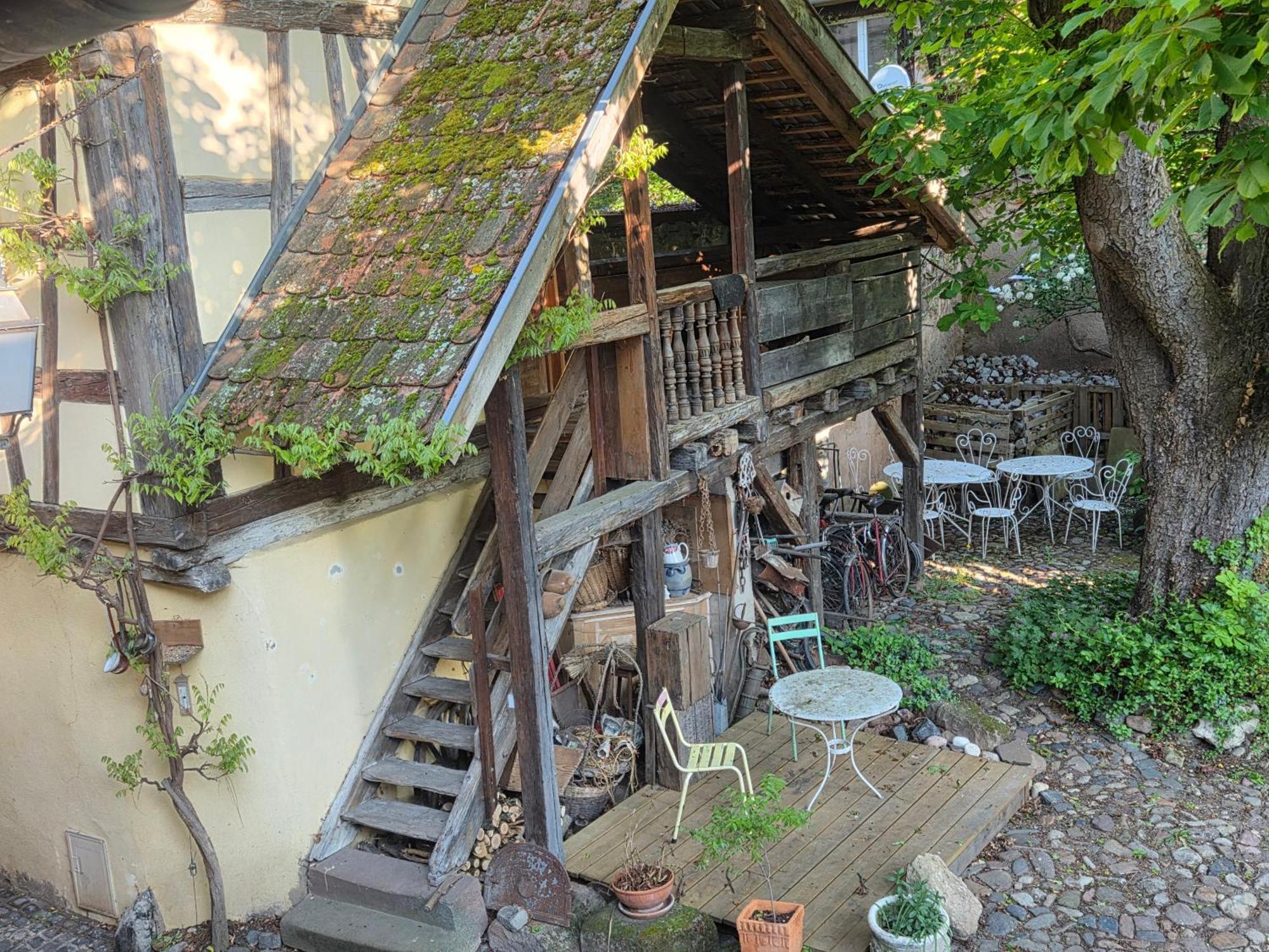 Le Temps Des Cigognes Villa Barr Bagian luar foto