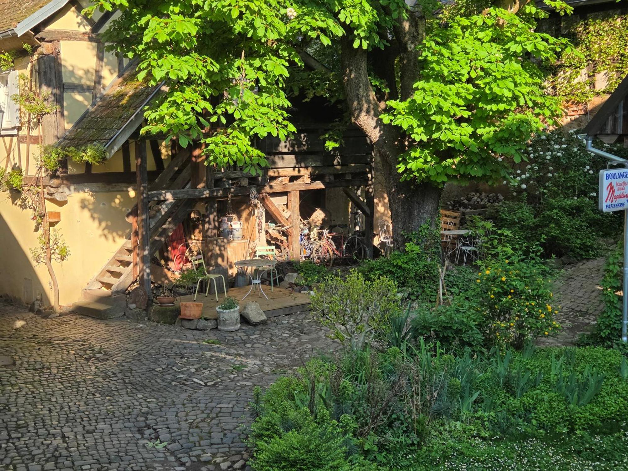Le Temps Des Cigognes Villa Barr Bagian luar foto