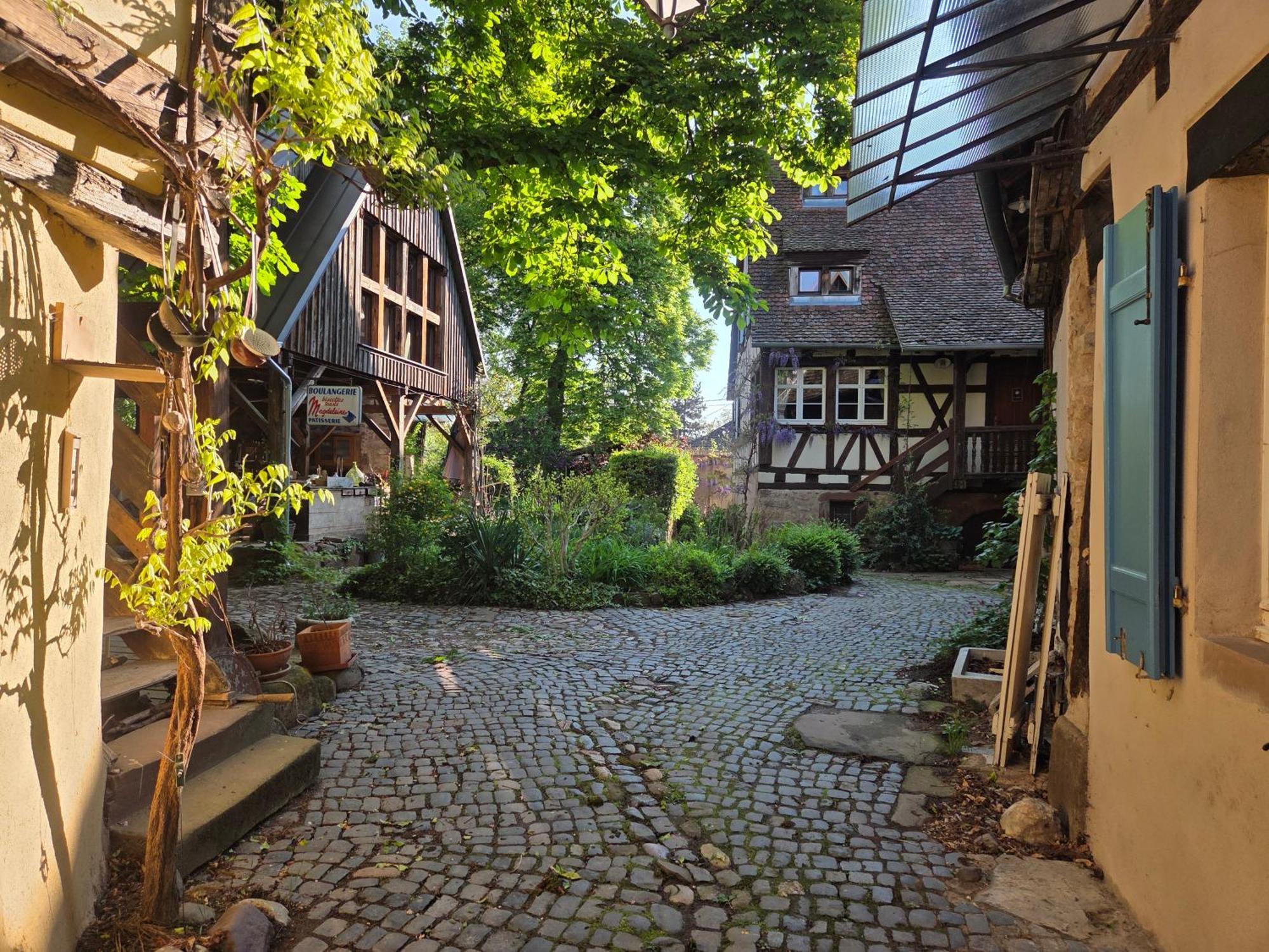 Le Temps Des Cigognes Villa Barr Bagian luar foto