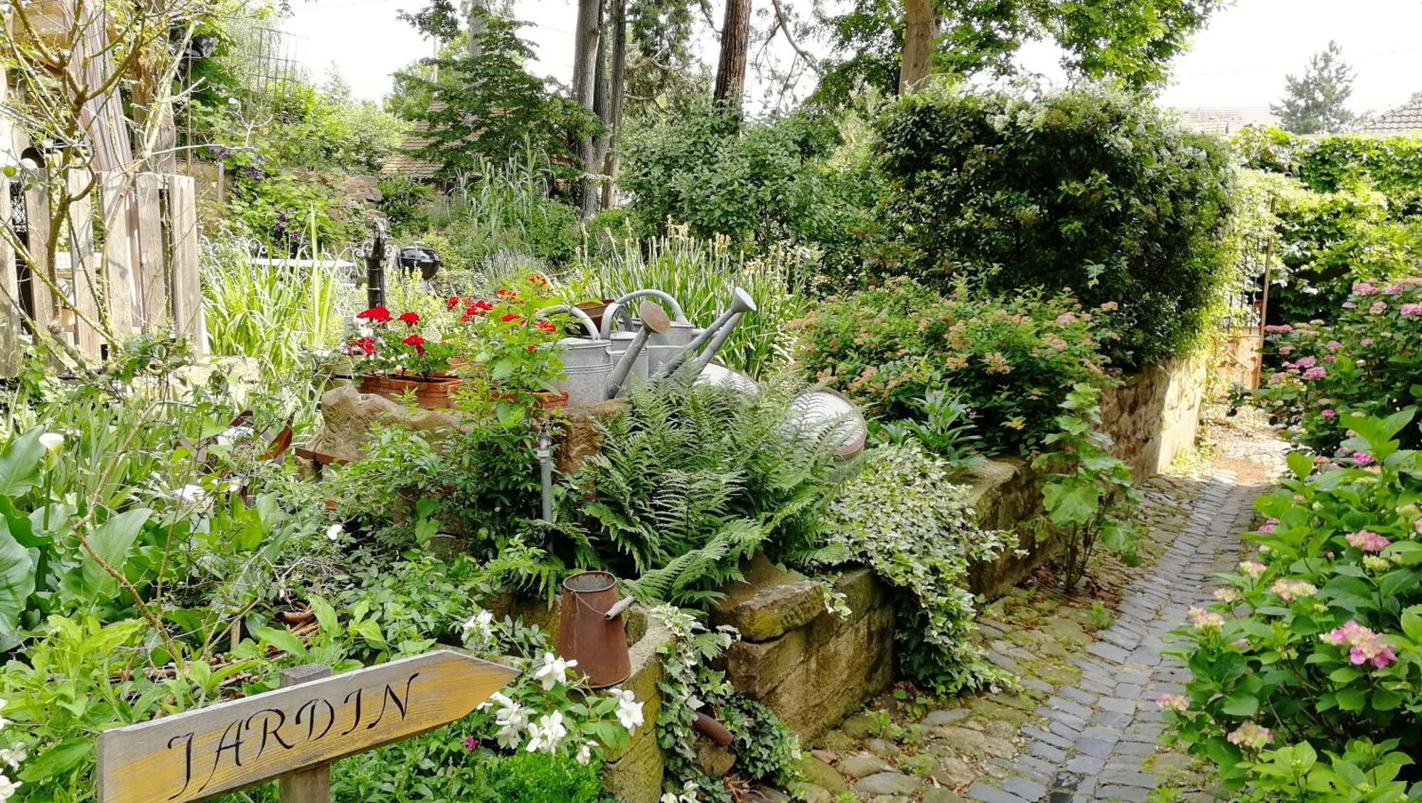 Le Temps Des Cigognes Villa Barr Bagian luar foto